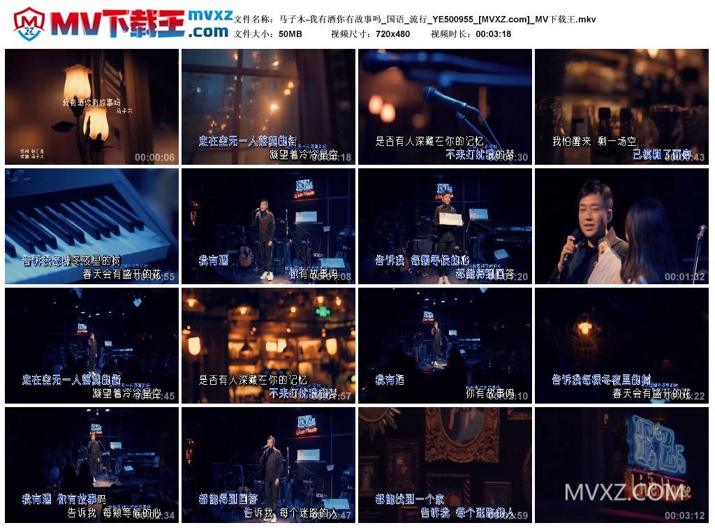 马子木-我有酒你有故事吗_国语_流行_YE500955